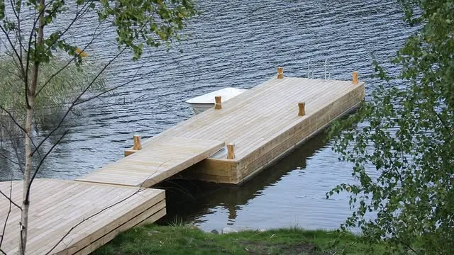 Brygga vid björkar
